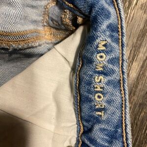 American Eagle Outfitters Light Blue Denim Shorts